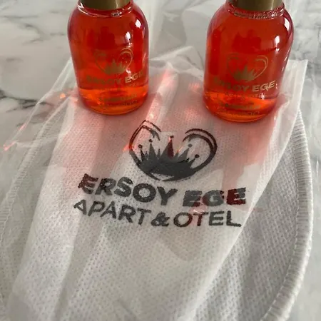 Ersoy Ege *